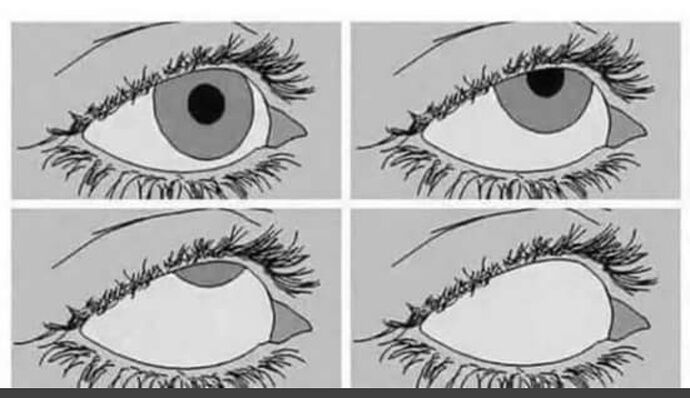 Screenshot_20230106-180940_Brave