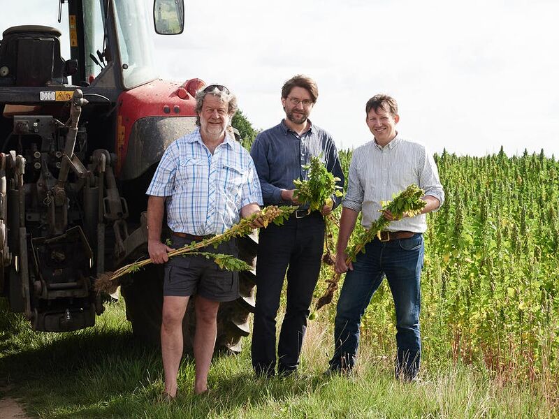 Hodmedod’s works with British farmers to grow and sell a range of pulses and grains here in the UK, and grows its own organic produce on its farm in Suffolk