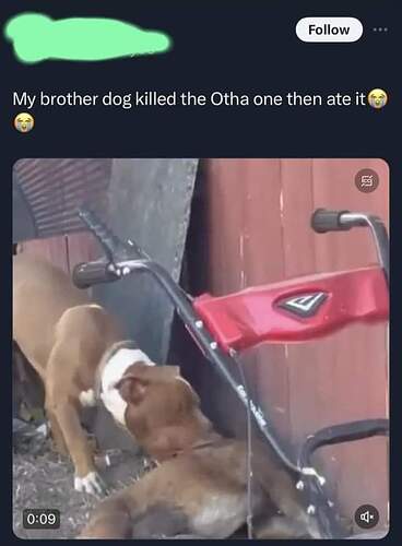 FB_IMG_1705074030077