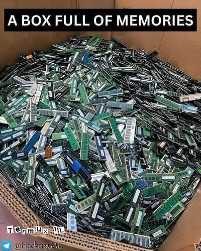 photo_2025-08-23_14-12-30