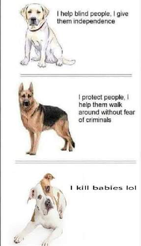 FB_IMG_1710256981694