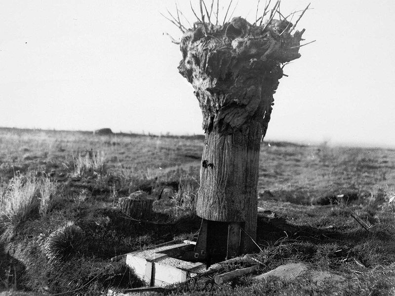 A British false tree, a type of disguised observation post used by both sides.