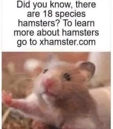 HQXFoTjXEAA5jC4