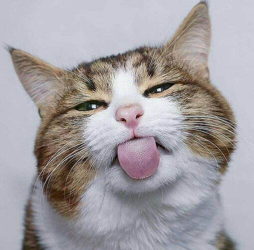 2c041c4875d1891f29e0613d45f11a89-3257305550