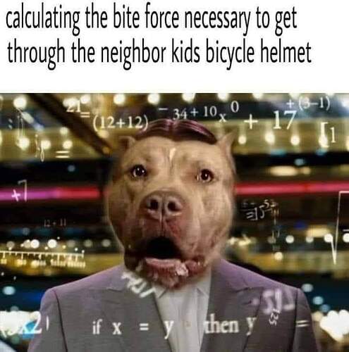 FB_IMG_1705110854040