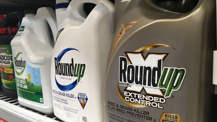 FILE - In this Feb. 24, 2019, file photo, containers of Roundup are displayed on a store shelf in San Francisco. The Bayer Corporation has spent more than $10 billion to settle lawsuits that claim the popular weed killer Roundup causes cancer. But a single verdict in Philadelphia this year has topped $2 billion and thousands of cases are still to come. Bayer calls the recent verdict "excessive" and insists Roundup is safe. However, it has reformulated the consumer version to remove a pesticide called glyphosate. (AP Photo/Haven Daley, File)
