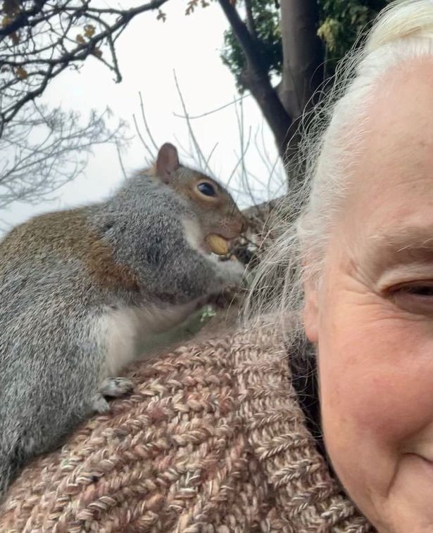 Stripe became a little too friendly, 'legging' it up the garden to climb onto Corinne's shoulder