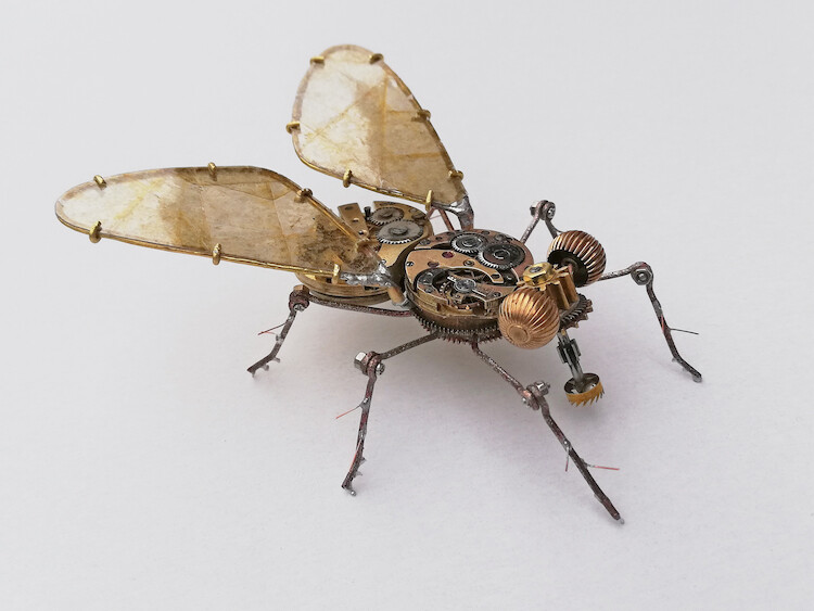 Steampunk Fly Made From Antique Watches by Peter Szucsy