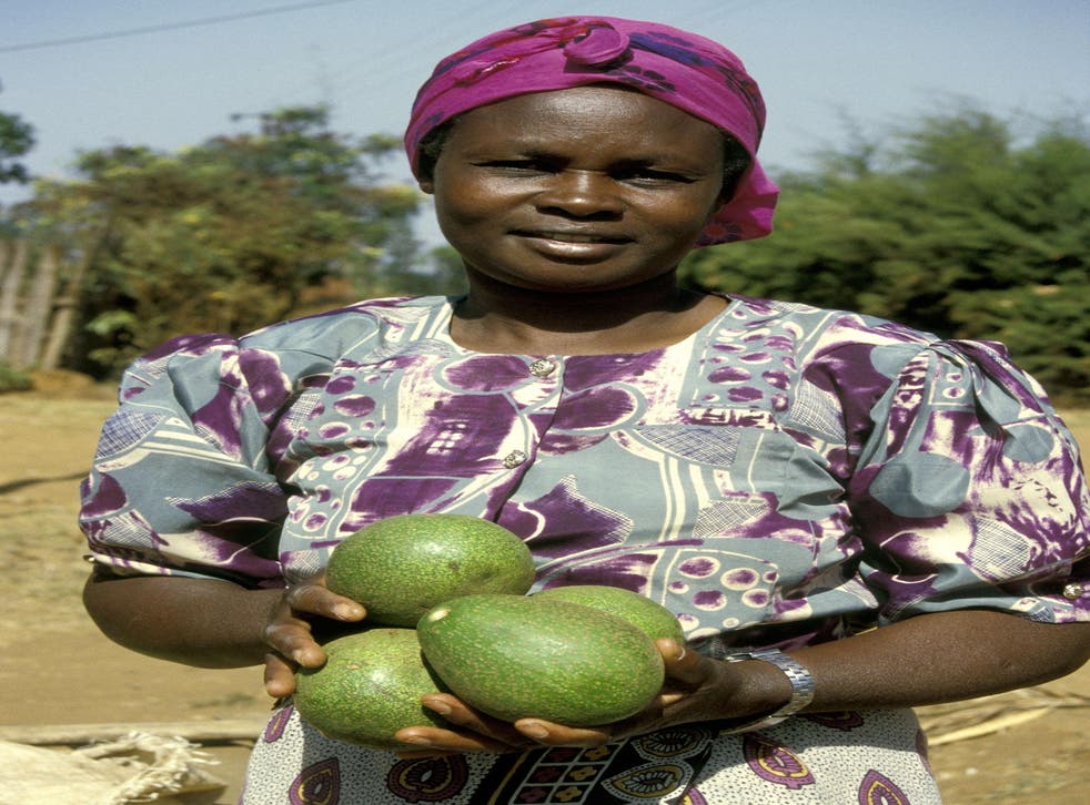 Kenya banned exporting avocados this week because the country's own supply was at risk