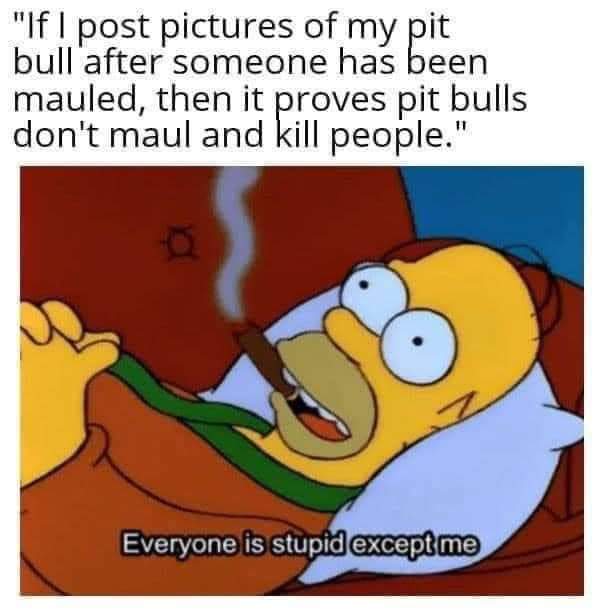 FB_IMG_1705154766500