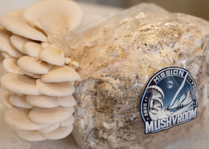 images-3.fill.size_670x478.v1761674502