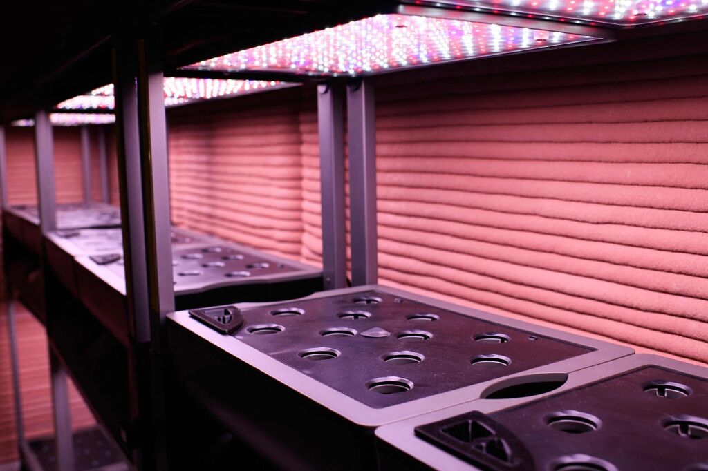 The area the crew will grow plants inside of CHAPEA's Mars Dune Alpha.